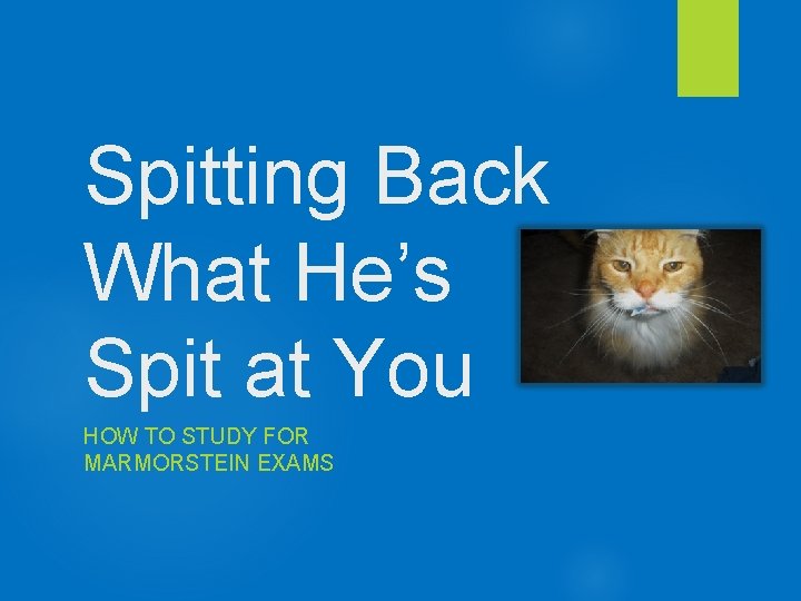 Spitting Back What He’s Spit at You HOW TO STUDY FOR MARMORSTEIN EXAMS 