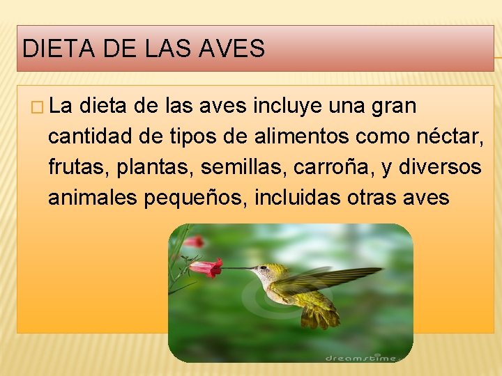DIETA DE LAS AVES � La dieta de las aves incluye una gran cantidad