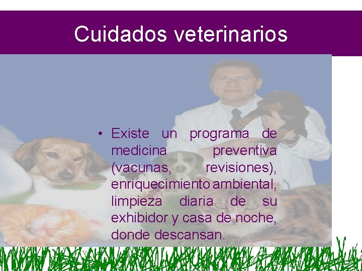 Cuidados veterinarios • Existe un programa de medicina preventiva (vacunas, revisiones), enriquecimiento ambiental, limpieza