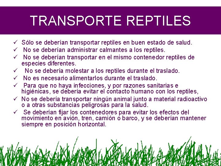 TRANSPORTE REPTILES ü Sólo se deberían transportar reptiles en buen estado de salud. ü