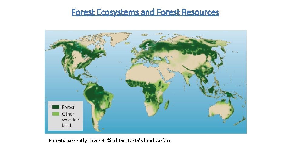 Forest Ecosystems and Forest Resources Forests currently cover 31% of the Earth’s land surface