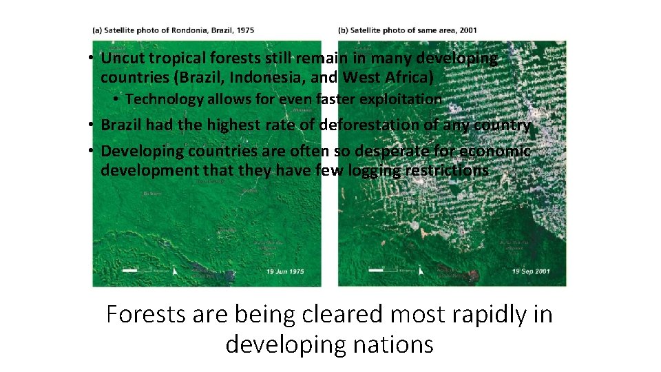  • Uncut tropical forests still remain in many developing countries (Brazil, Indonesia, and