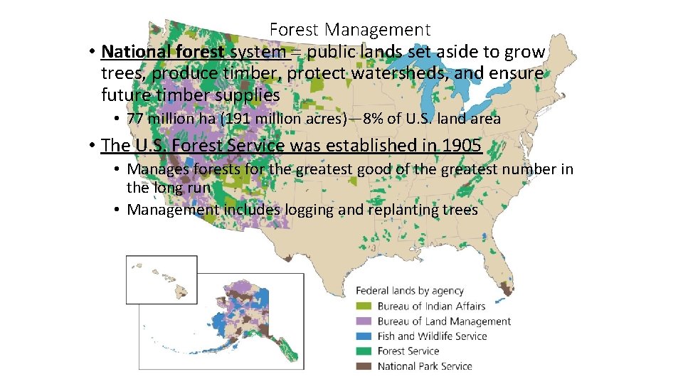 Forest Management • National forest system = public lands set aside to grow trees,