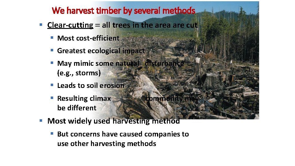 We harvest timber by several methods § Clear-cutting = all trees in the area
