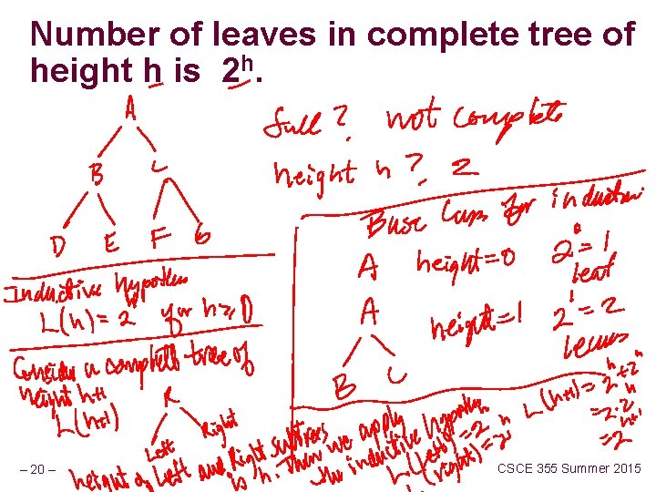 Number of leaves in complete tree of height h is 2 h. – 20