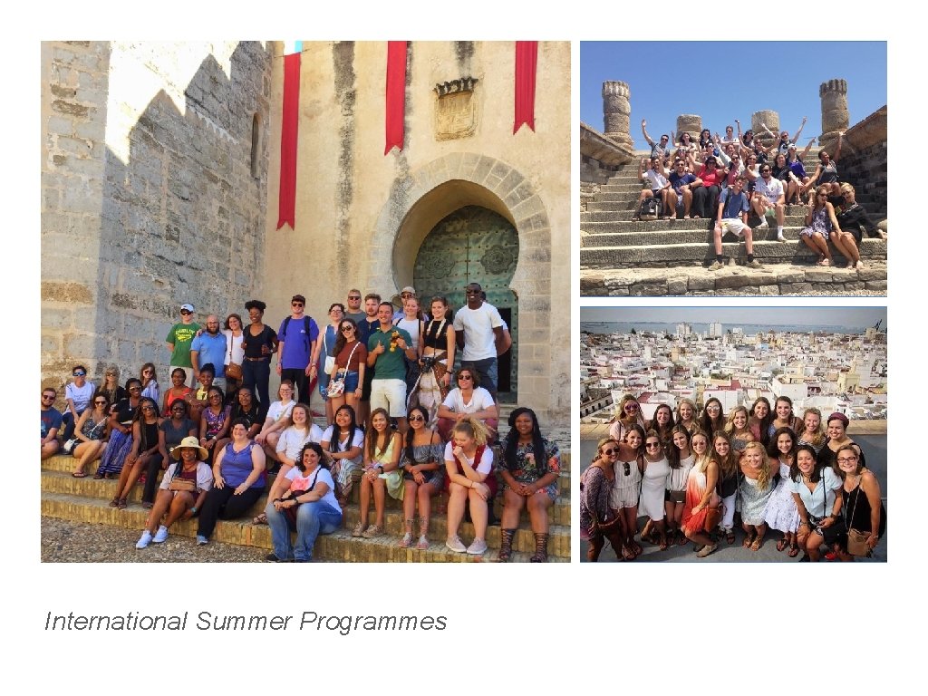 International Summer Programmes 