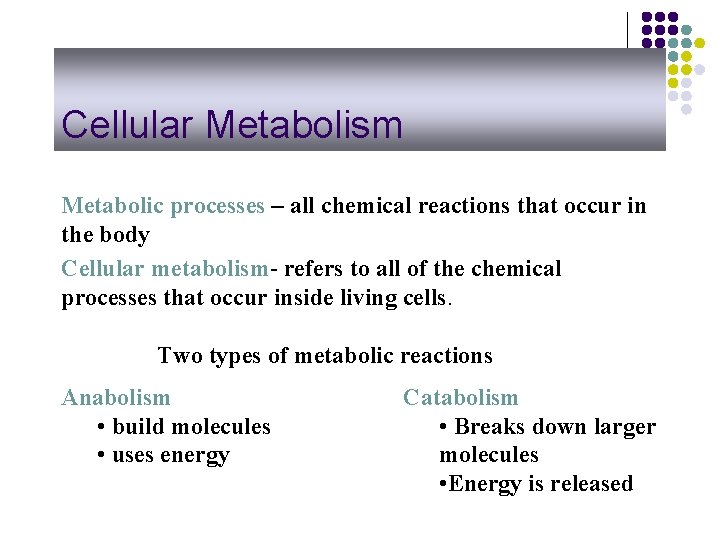 Cellular Metabolism Metabolic processes – all chemical reactions that occur in the body Cellular