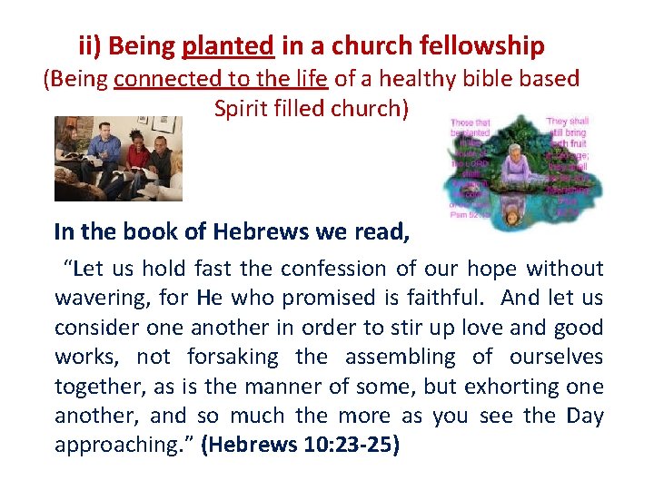 ii) Being planted in a church fellowship (Being connected to the life of a