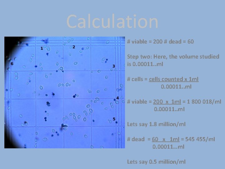 Calculation # viable = 200 # dead = 60 Step two: Here, the volume