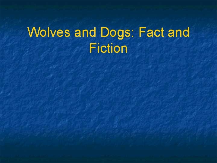 Wolves and Dogs: Fact and Fiction 