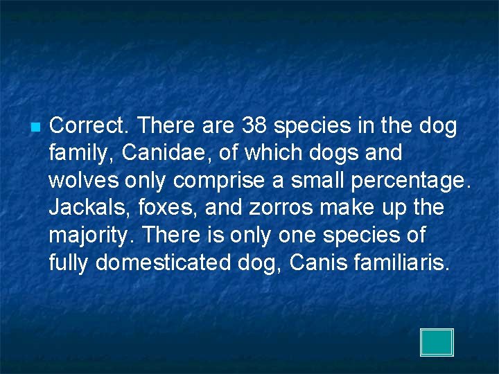 n Correct. There are 38 species in the dog family, Canidae, of which dogs