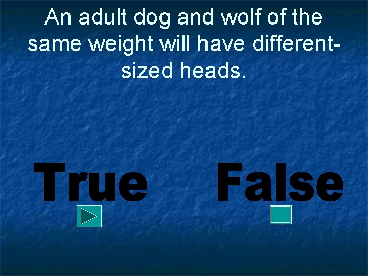 An adult dog and wolf of the same weight will have differentsized heads. 