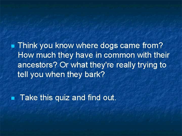 n n Think you know where dogs came from? How much they have in