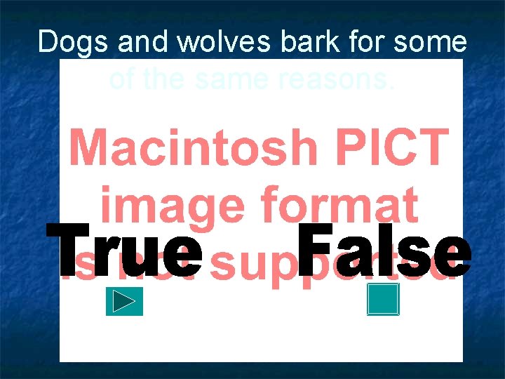 Dogs and wolves bark for some of the same reasons. 