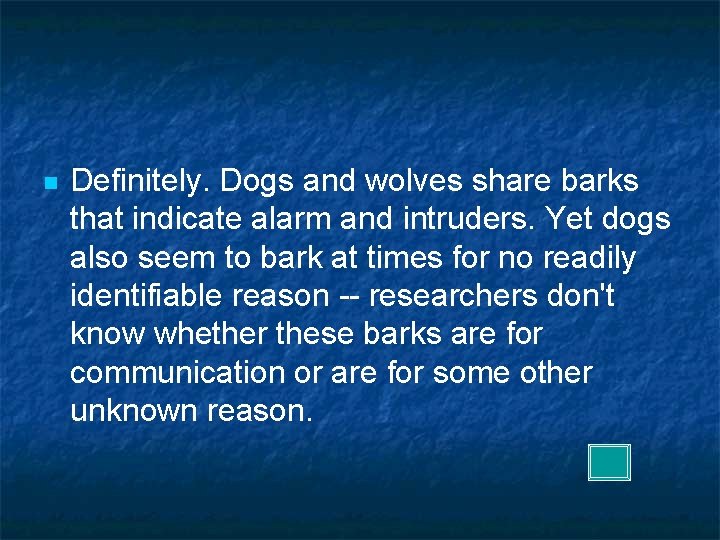 n Definitely. Dogs and wolves share barks that indicate alarm and intruders. Yet dogs