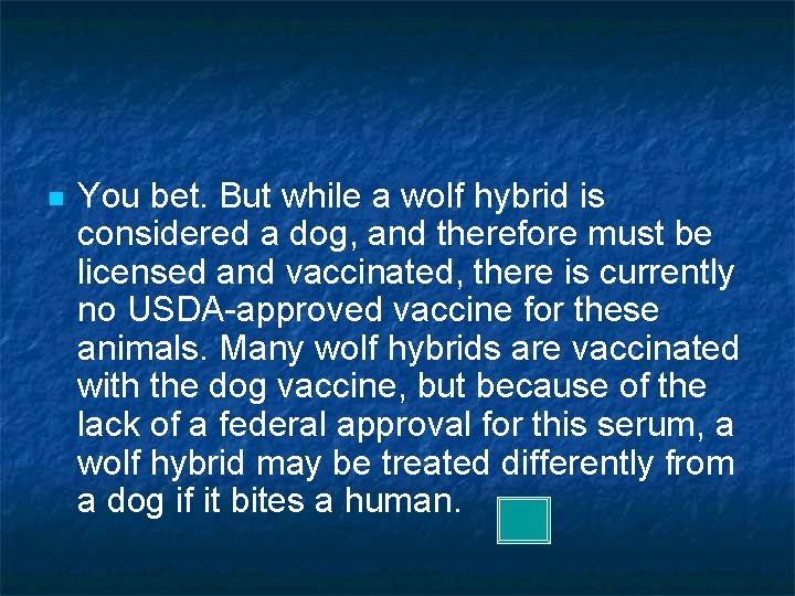 n You bet. But while a wolf hybrid is considered a dog, and therefore
