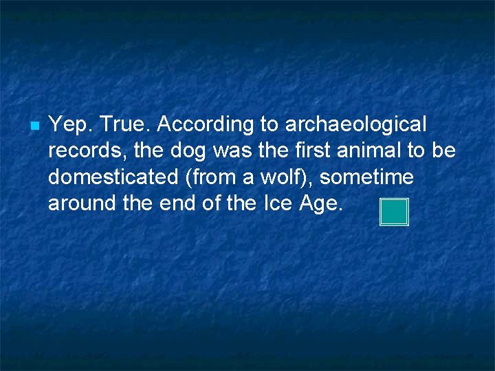 n Yep. True. According to archaeological records, the dog was the first animal to