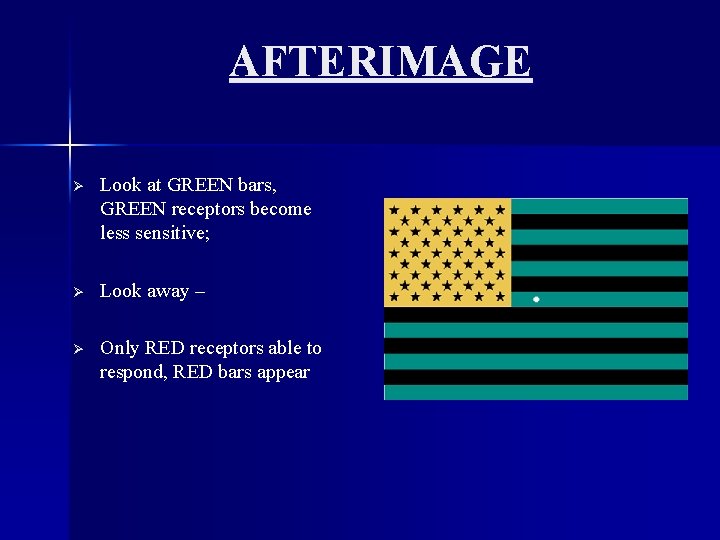 AFTERIMAGE Ø Look at GREEN bars, GREEN receptors become less sensitive; Ø Look away