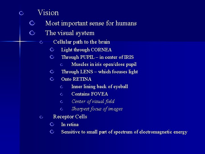Vision Most important sense for humans The visual system Cellular path to the brain