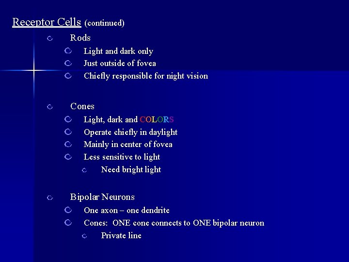 Receptor Cells (continued) Rods Light and dark only Just outside of fovea Chiefly responsible