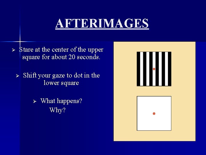 AFTERIMAGES Ø Stare at the center of the upper square for about 20 seconds.
