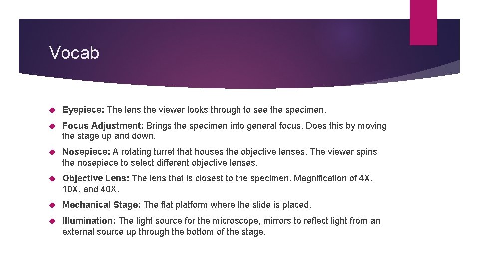 Vocab Eyepiece: The lens the viewer looks through to see the specimen. Focus Adjustment: