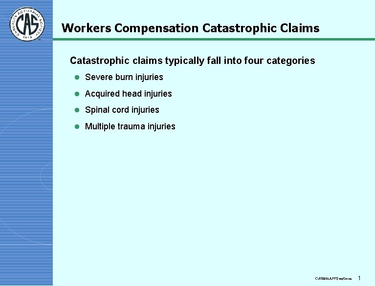 Workers Compensation Catastrophic Claims Catastrophic claims typically fall into four categories l Severe burn