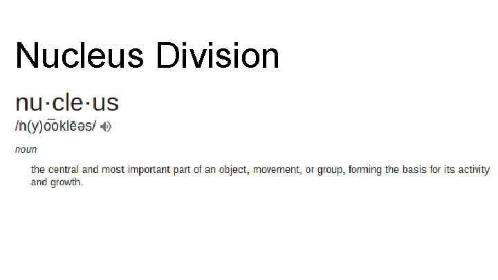 Nucleus Division 