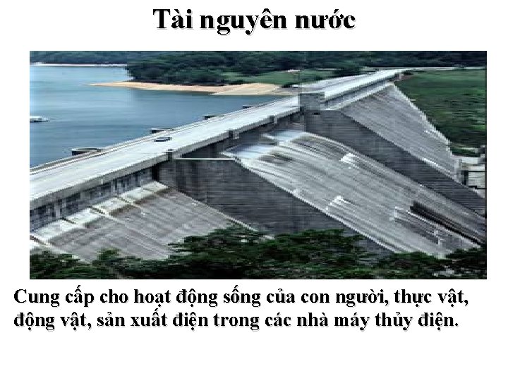 Tài nguyên nước Cung cấp cho hoạt động sống của con người, thực vật,