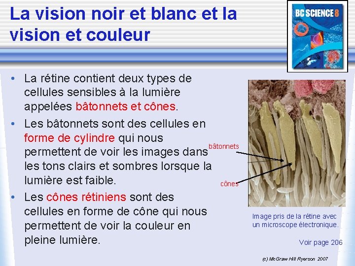 La vision noir et blanc et la vision et couleur • La rétine contient