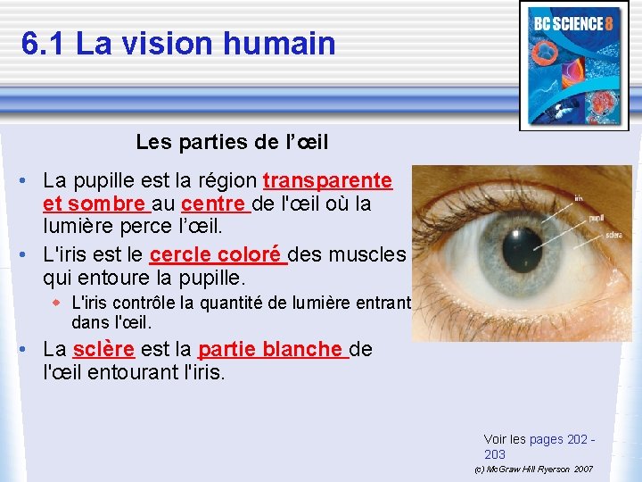 6. 1 La vision humain Les parties de l’œil • La pupille est la