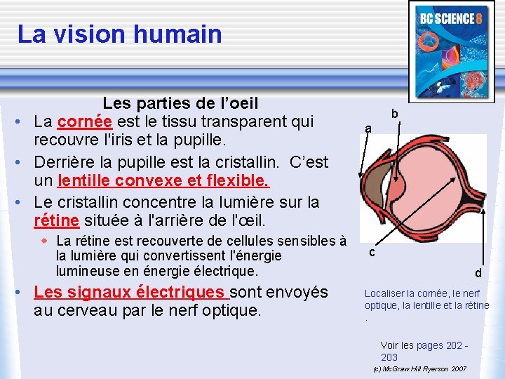 La vision humain Les parties de l’oeil • La cornée est le tissu transparent