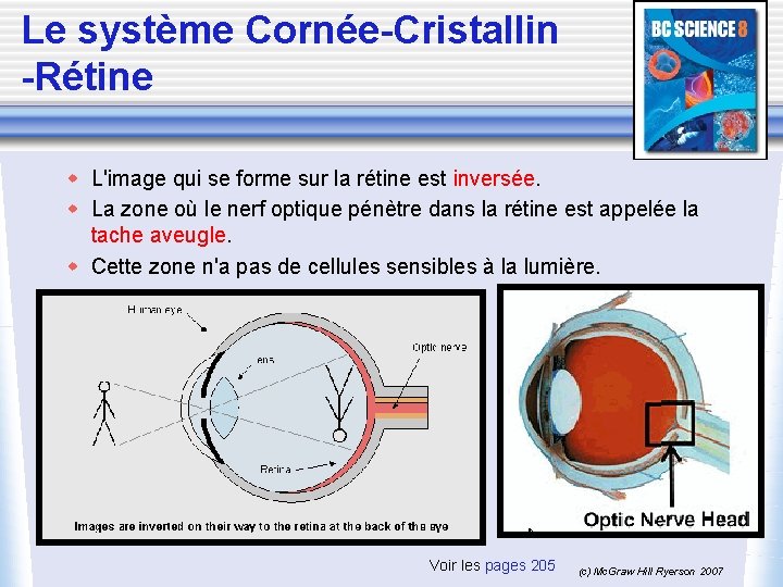 Le système Cornée-Cristallin -Rétine w L'image qui se forme sur la rétine est inversée.
