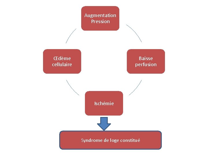 Augmentation Pression Œdème cellulaire Baisse perfusion Ischémie Syndrome de loge constitué 