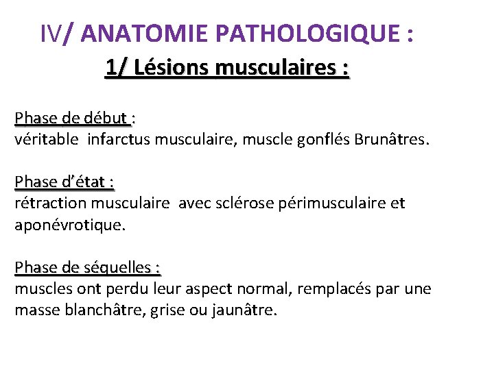 IV/ ANATOMIE PATHOLOGIQUE : 1/ Lésions musculaires : Phase de début : véritable infarctus