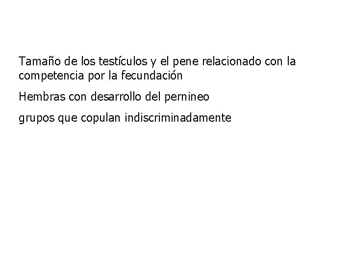 Tamaño de los testículos y el pene relacionado con la competencia por la fecundación