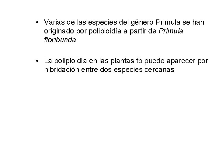  • Varias de las especies del género Primula se han originado por poliploidía