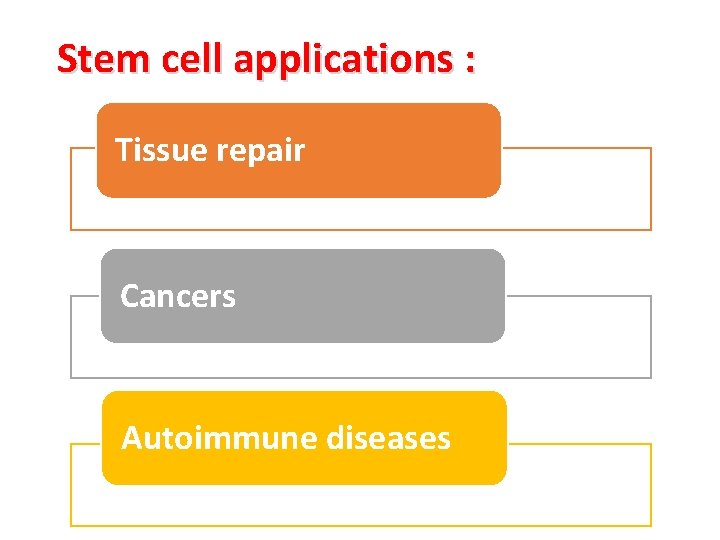 Stem cell applications : Tissue repair Cancers Autoimmune diseases 