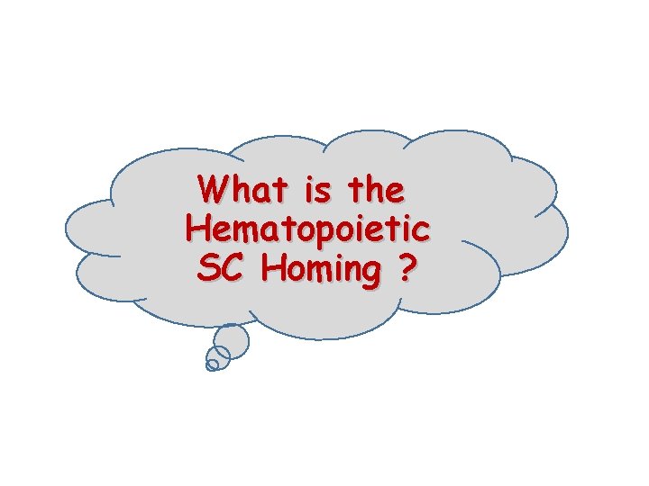 What is the Hematopoietic SC Homing ? 