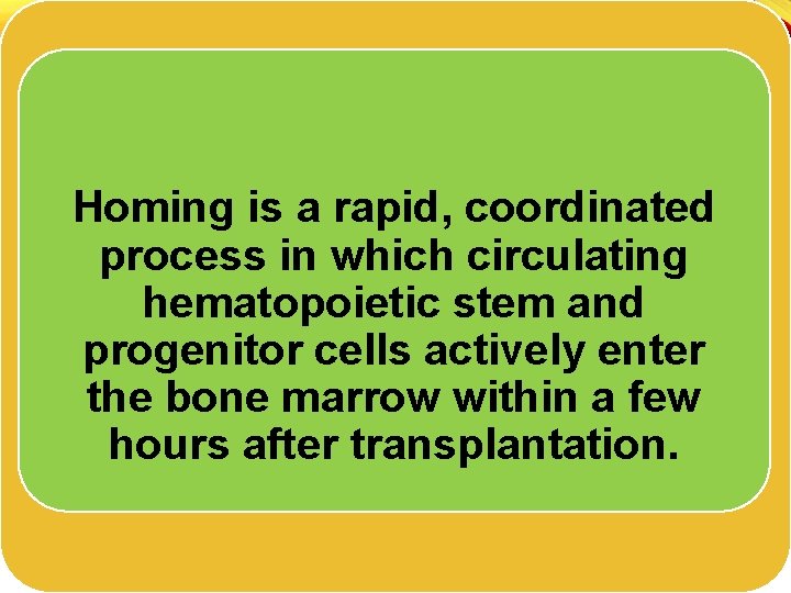 Homing is a rapid, coordinated process in which circulating hematopoietic stem and progenitor cells