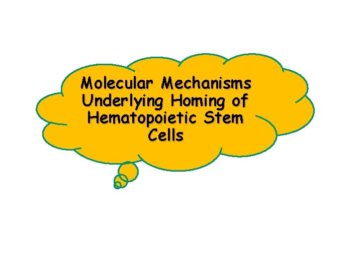 Molecular Mechanisms Underlying Homing of Hematopoietic Stem Cells 