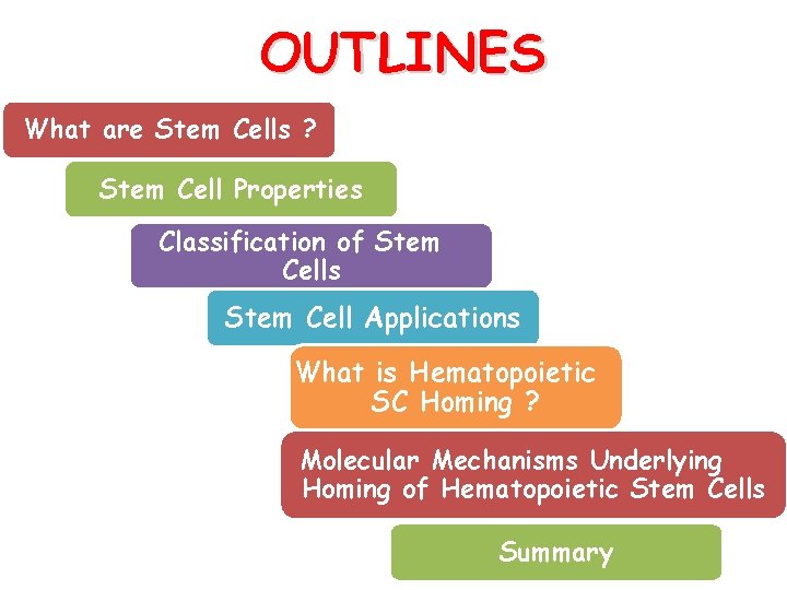 OUTLINES What are Stem Cells ? Stem Cell Properties Classification of Stem Cells Stem