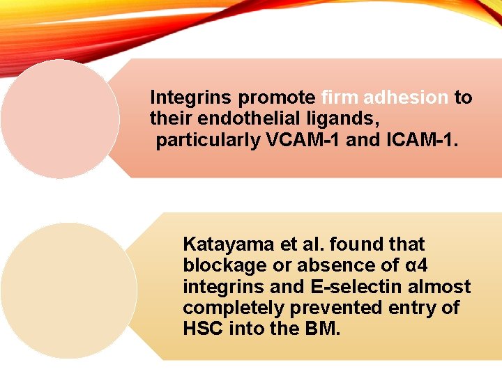 Integrins promote firm adhesion to their endothelial ligands, particularly VCAM-1 and ICAM-1. Katayama et