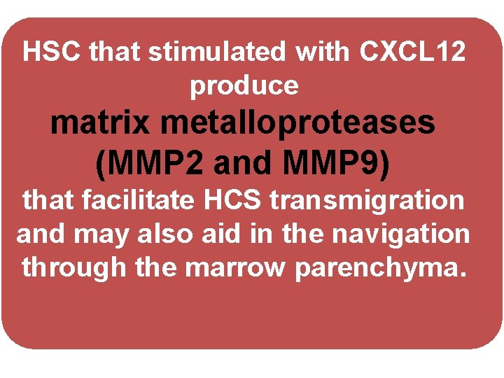 HSC that stimulated with CXCL 12 produce matrix metalloproteases (MMP 2 and MMP 9)