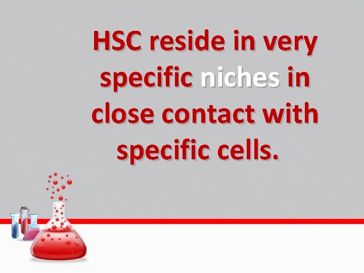 HSC reside in very specific niches in close contact with specific cells. 