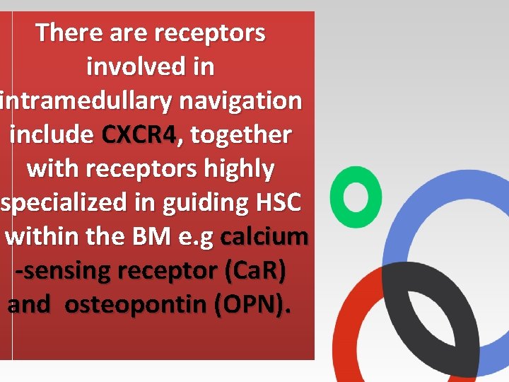 There are receptors involved in intramedullary navigation include CXCR 4, together with receptors highly