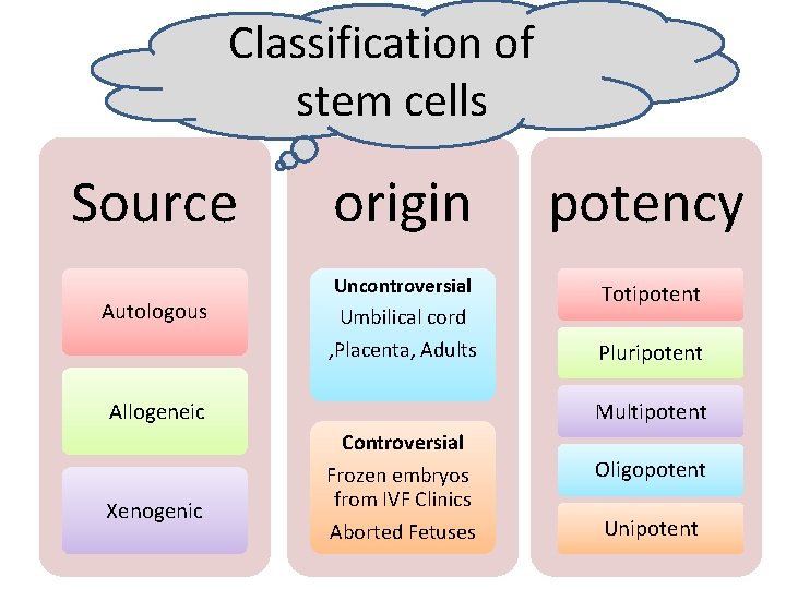 Classification of stem cells Source Autologous origin potency Uncontroversial Totipotent Umbilical cord , Placenta,