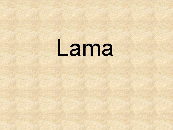 Lama 