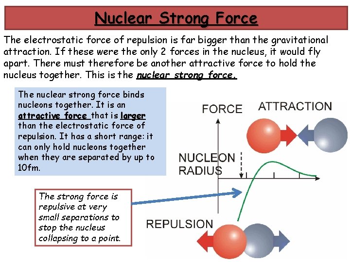 Nuclear Strong Force The electrostatic force of repulsion is far bigger than the gravitational