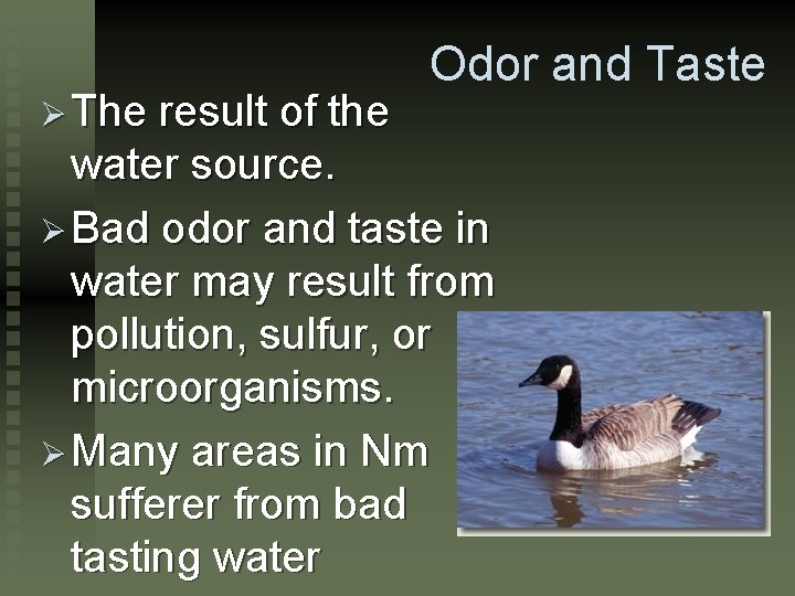 Ø The Odor and Taste result of the water source. Ø Bad odor and